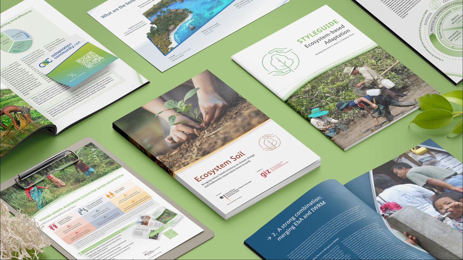 Publications for ecosystem-based adaptation