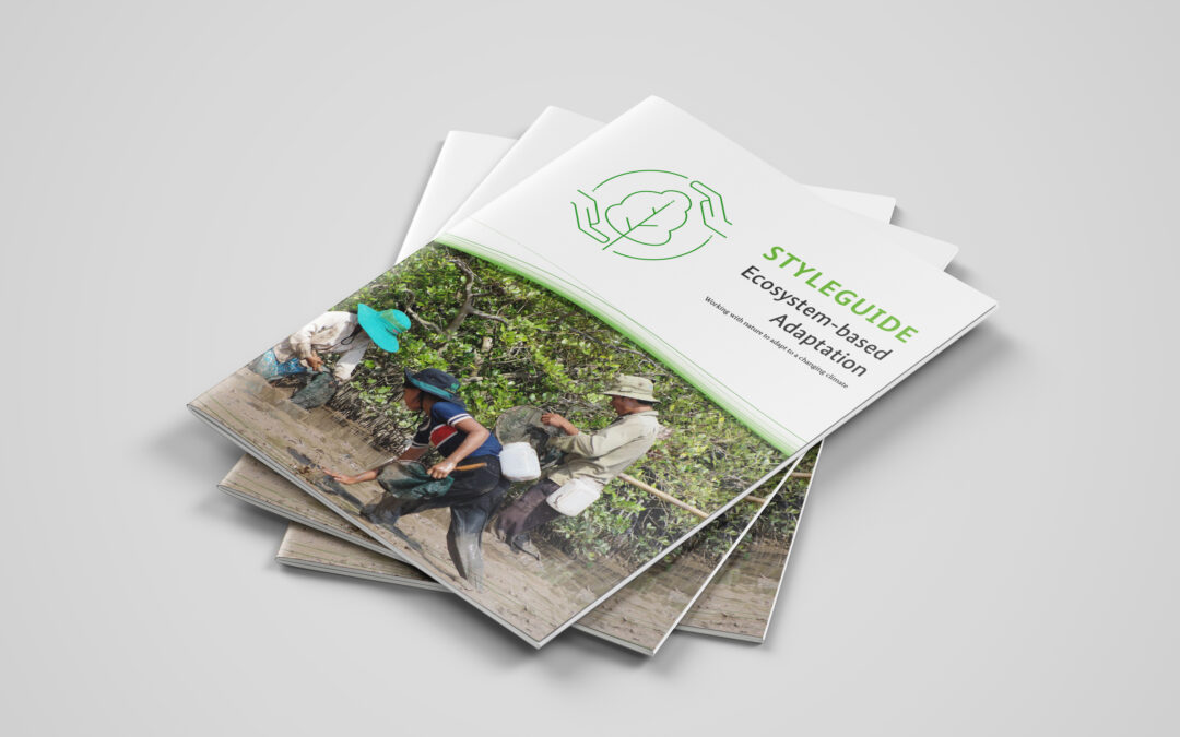 Protected: Branding and Layout for EbA/GIZ